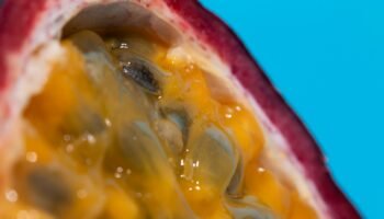 Maracugina: conheça os benefícios dessa maravilha natural