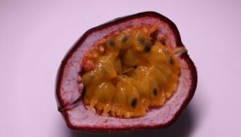 Os Benefícios do maracujá roxo para a saúde