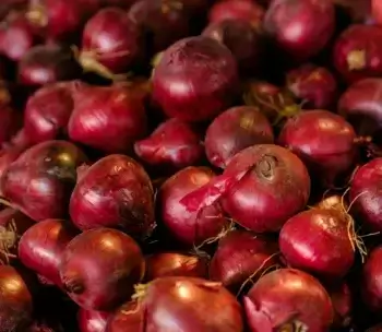 Cebola roxa e seus benefícios para a saúde