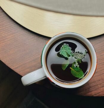 Chá de hortelã e seus benefícios: um guia completo