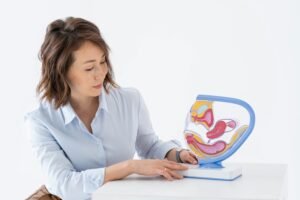 Sistema Digestivo conheça como funciona
