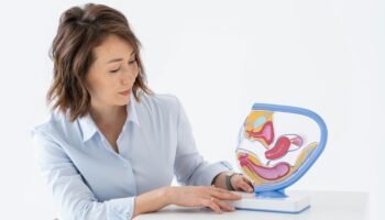 Como funciona o sistema digestivo