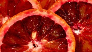 Laranja vermelha e seus benefícios