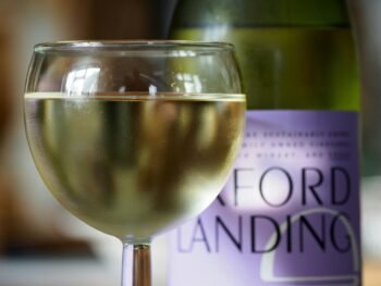 Os benefícios do vinho branco na saúde