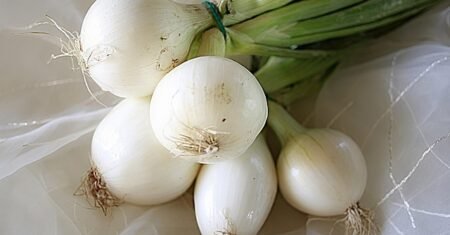 Os benefícios da cebola branca para a saúde