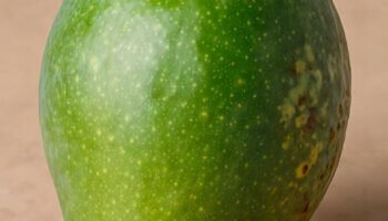Os benefícios da manga verde para a saúde