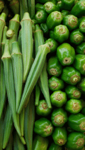 Quiabo e o Jiló um prato cheio para saúde