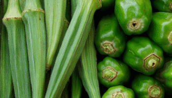 Quiabo e o Jiló: descubra os benefícios incríveis destes vegetais