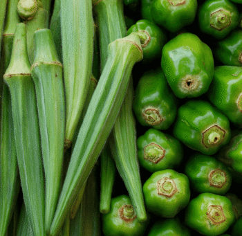 Quiabo e o Jiló: descubra os benefícios incríveis destes vegetais