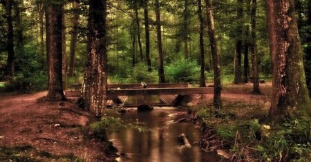 Dicas de bem-estar: saúde e hábitos para uma vida saudável