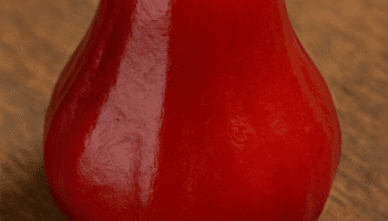 Jambo: pequena, vermelha e cheia de benefícios