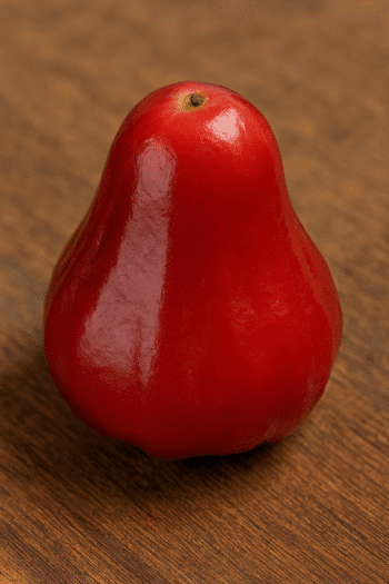 Jambo: pequena, vermelha e cheia de benefícios