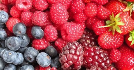 Frutas vermelhas na saúde e seus benefícios