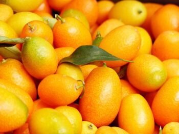 Por que a laranja pera é a favorita? 7 benefícios e tudo sobre ela