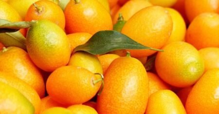 Por que a laranja pera é a favorita? 7 benefícios e tudo sobre ela