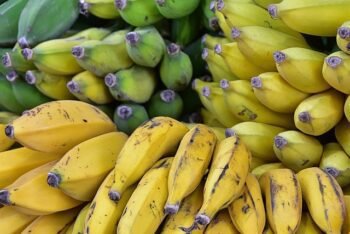 Todos os tipos de bananas e seus benefícios