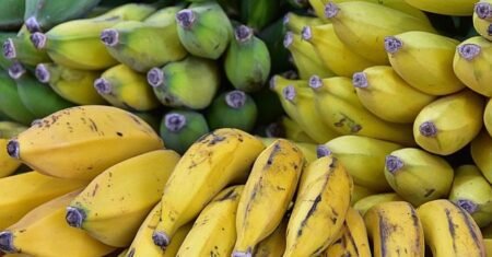 Todos os tipos de bananas e seus benefícios