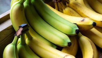 Todos os tipos de bananas e seus benefícios