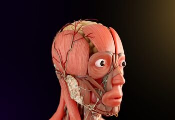 Como acalmar o sistema nervoso: 10 dicas surpreendentes