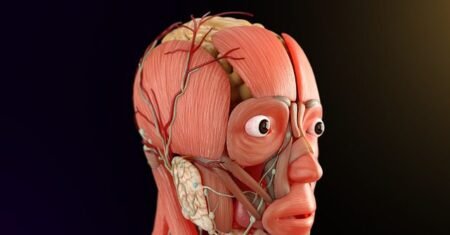 Como acalmar o sistema nervoso: 10 dicas surpreendentes